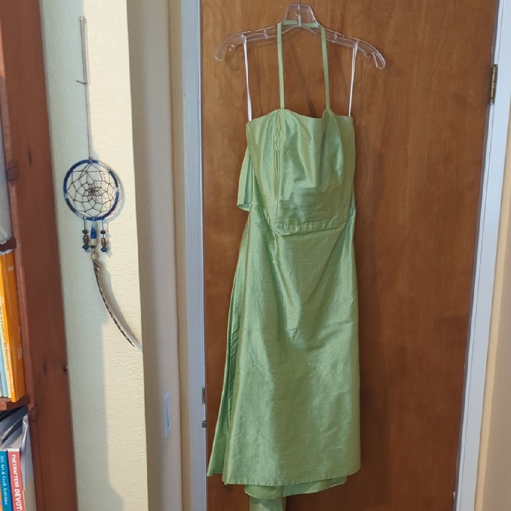 NWT Watters & Watters Raw Silk Light Green Dress Sz 10 USA Made
